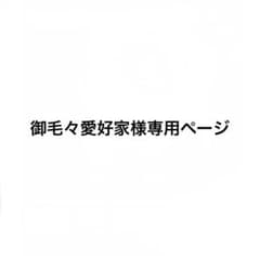 専用ページのサムネイル