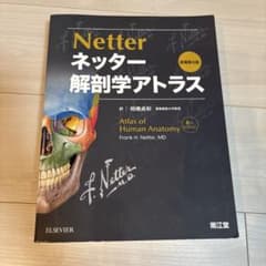 ネッター 解剖学アトラスのサムネイル