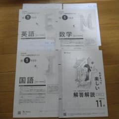 ベネッセ総合学力テスト高1 2025年11月 進研模試 - メルカリ