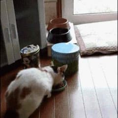 専用のサムネイル