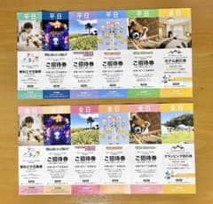 伊豆シャボテンリゾート招待券セットのサムネイル