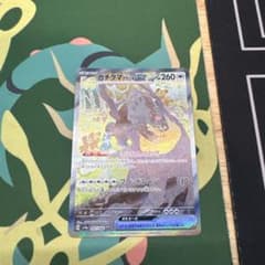 ガチグマ　アカツキ　sarのサムネイル