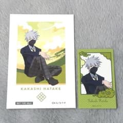 NARUTO 하타케 카카시 특전 청춘 엽서 미니 브로마이드 격레어