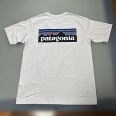 patagonia Ｔシャツ Ｓサイズ　試着のみのサムネイル