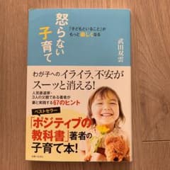 怒らない子育て : 「子どもといること」がもっと楽しくなるのサムネイル