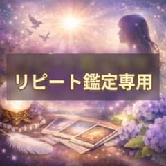 【リピート鑑定専用】霊光透視師けい 継続リーディングのサムネイル