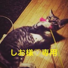 しお様♡専用のサムネイル