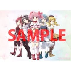 ≪未使用≫魔法少女まどか☆マギカ 特製B5アクリルボード とらのあな