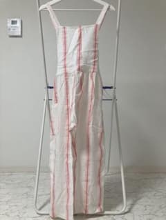ZARA オーバーオール 夏のサムネイル