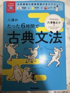 八澤のたった6時間で古典文法のサムネイル