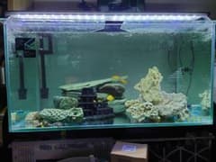 ガラス水槽 上部フィルター LEDライト セット90センチ用水槽台付きのサムネイル