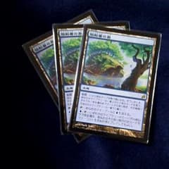 MTG 殻船着の島 3枚のサムネイル