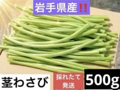茎わさび　500g (ネコポス)のサムネイル