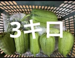 新鮮ヘチマ　3キロのサムネイル