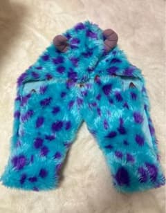 サリー ファンキャップのサムネイル