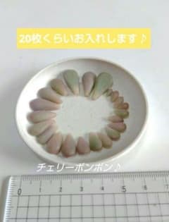 多肉植物☆チェリーボンボン葉挿しのサムネイル