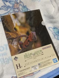 一番くじ 爬虫類＆両生類 H賞 クリアファイル＆ステッカーセットのサムネイル