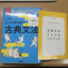 八澤のたった6時間で古典文法のサムネイル