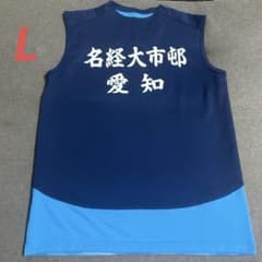 バドミントンヨネックスユニフォーム日本代表サイズL名経大市邨 - メルカリ