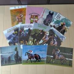 競馬 クリアファイル 11枚セット JRA 名馬のサムネイル
