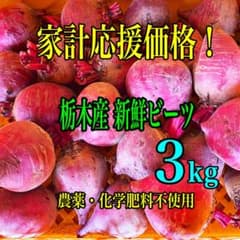 栃木産 新鮮ビーツ 3kg 農薬・化学肥料不使用 - メルカリ