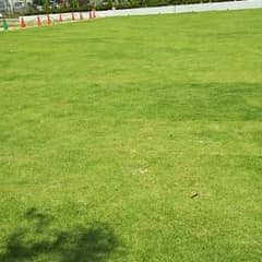 確認用のサムネイル