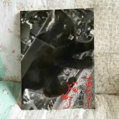 ゆんた様専用です！東京猫町 荒木経惟のサムネイル