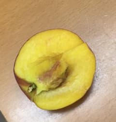 マルシェさんとの連絡用のサムネイル