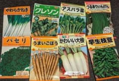 春まき　野菜の種8種類　おまけ2種付きのサムネイル