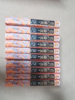 【値段交渉可】花の慶次　１０巻完結セットのサムネイル