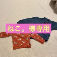 新品未使用　NEXT 男の子90センチトレーナー2枚セットのサムネイル