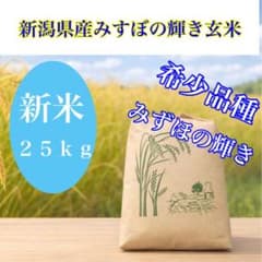 令和7年産米 新潟県産みずほの輝き玄米 25キロ 米 - メルカリ