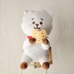 BT21 RJ 봉제인형