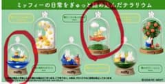 miffy Terrarium たのしいまいにち　ミッフィー　テラリウムのサムネイル