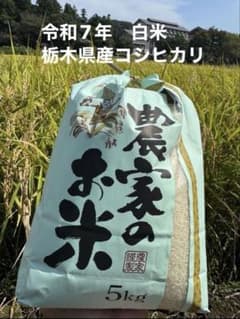 令和7年栃木県産コシヒカリ4.8kg - メルカリ