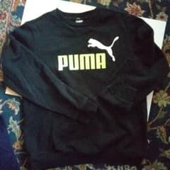 PUMAトレーナーのサムネイル