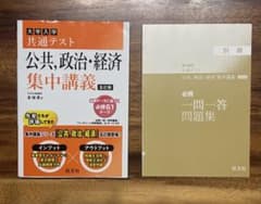 大学入学共通テスト 公共、政治・経済 集中講義 五訂版のサムネイル