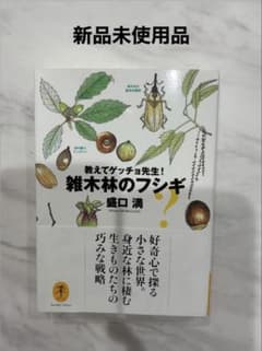 【期間限定出品】雑木林の不思議のサムネイル