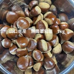 山口県産　無農薬栽培　1kgのサムネイル