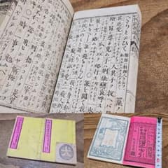 m51607967157_1.jpg?1738484324