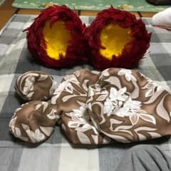 フラダンス ウリウリ 一体型のサムネイル