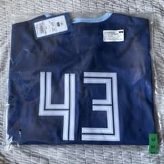 FIGHTERS ユニフォーム 水野達稀 FIGHTERS ユニフォーム 水野達稀 日本ハム】ファンの間で心配の