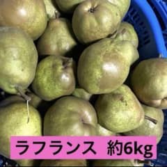 産地直送　ラフランス 青森県産　洋梨　訳あり