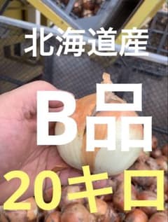 北海道産 玉ねぎ 20キロ B品のサムネイル