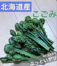 신선한 쓰레기 400g 이상 마루 마루 뚱뚱한 천연 모노 산채 [62]