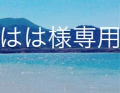 はは様専用のサムネイル