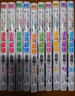 재단제 전권 아군이 너무 약해서 보조 마법에 철저히 있던 궁정 마법사, 추방되어 최강을 목표로 한다