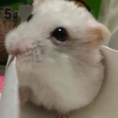 そーたん様専用のサムネイル