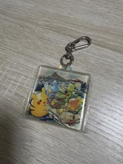 ポケモン アクリルキーホルダー ピカチュウ ミズゴロウ キモリ アチャモのサムネイル