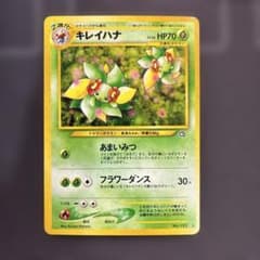 キレイハナ ポケモンカード 旧裏